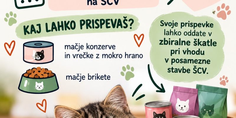 plakat - mačja hrana